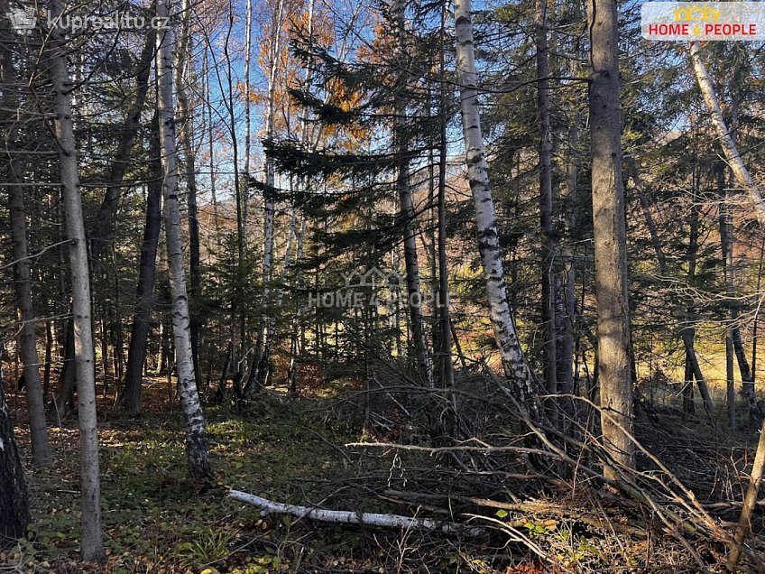 Prodej  stavebního pozemku 3129 m^2 Chvalčov, Chvalčov 