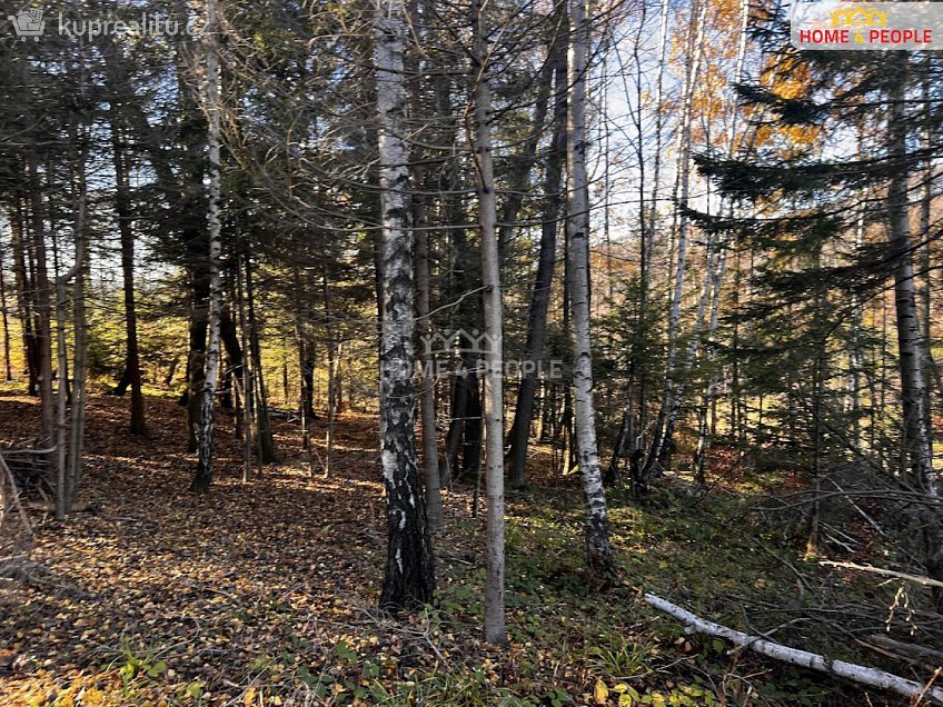 Prodej  stavebního pozemku 3129 m^2 Chvalčov, Chvalčov 