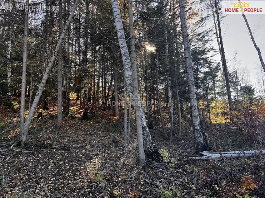 Prodej  stavebního pozemku 3129 m^2 Chvalčov, Chvalčov 