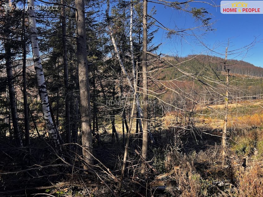 Prodej  stavebního pozemku 3129 m^2 Chvalčov, Chvalčov 