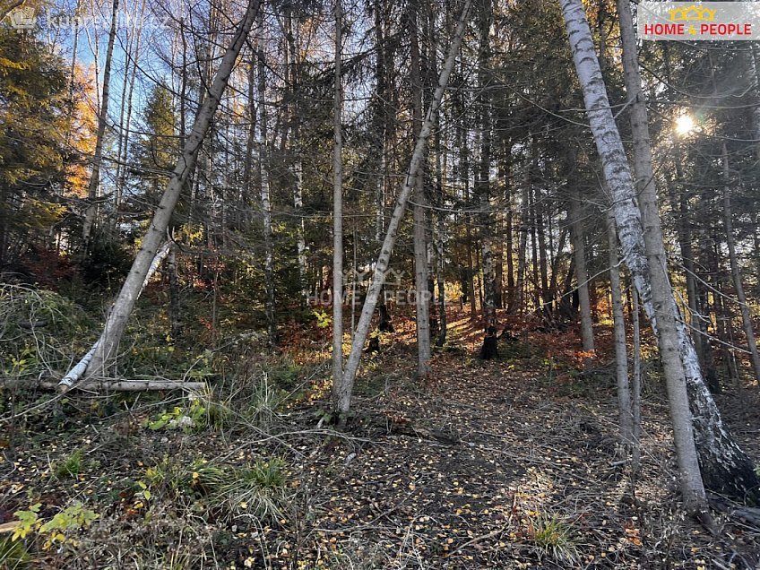 Prodej  stavebního pozemku 3129 m^2 Chvalčov, Chvalčov 