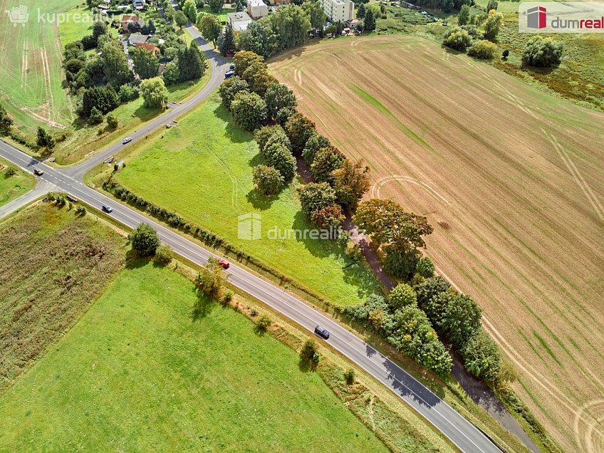 Prodej  rodinného domu 3600 m^2 Františkovy Lázně, Františkovy Lázně 