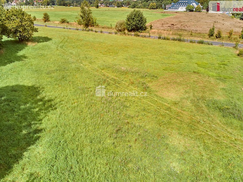 Prodej  stavebního pozemku 6597 m^2 Františkovy Lázně, Františkovy Lázně 