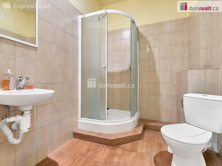 Prodej  obchodních prostor 191 m^2 SNP, Ústí nad Labem 