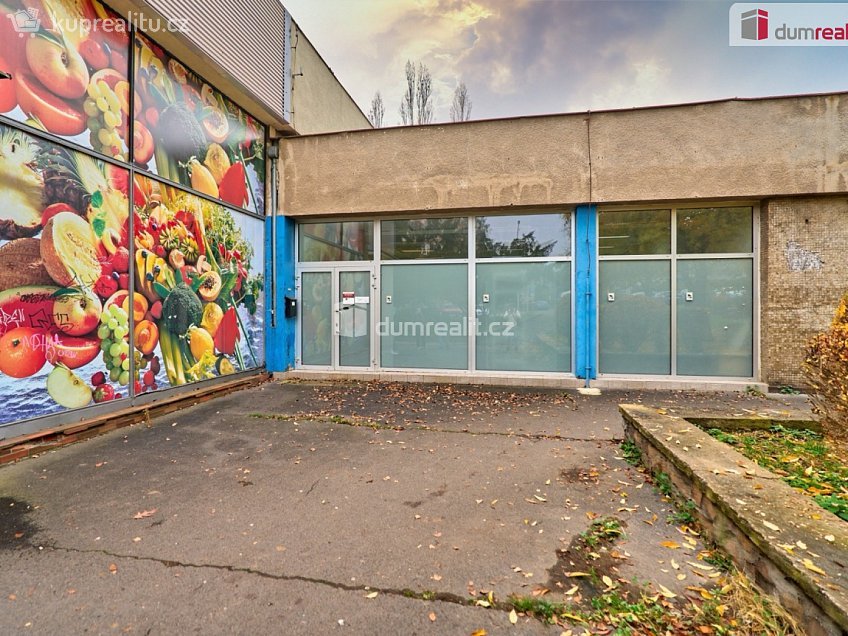 Prodej  obchodních prostor 191 m^2 SNP, Ústí nad Labem 