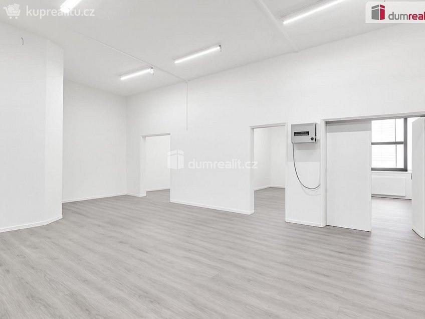 Prodej  obchodních prostor 191 m^2 SNP, Ústí nad Labem 