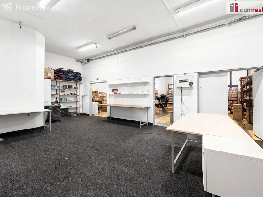 Prodej  obchodních prostor 191 m^2 SNP, Ústí nad Labem 