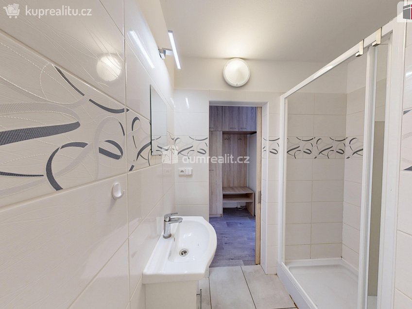 Pronájem bytu 1+kk 25 m^2 Holasická, Opava 