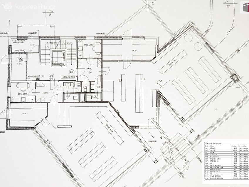 Pronájem  obchodních prostor 258 m^2 Štúrova, Praha 4 