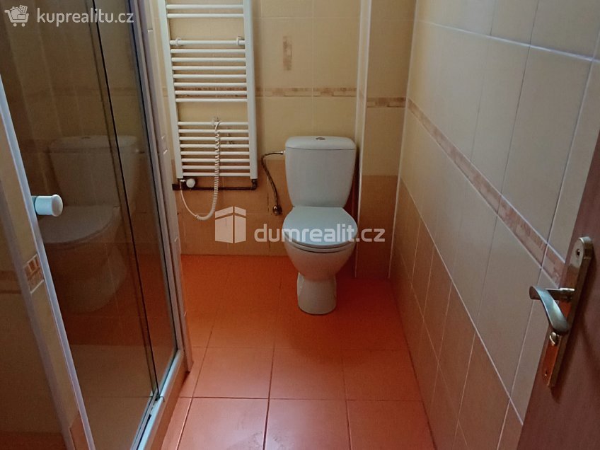 Pronájem bytu 1+1 44 m^2 Saská, Děčín 