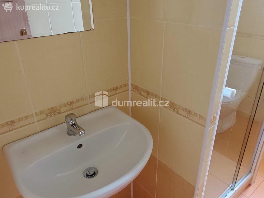 Pronájem bytu 1+1 44 m^2 Saská, Děčín 