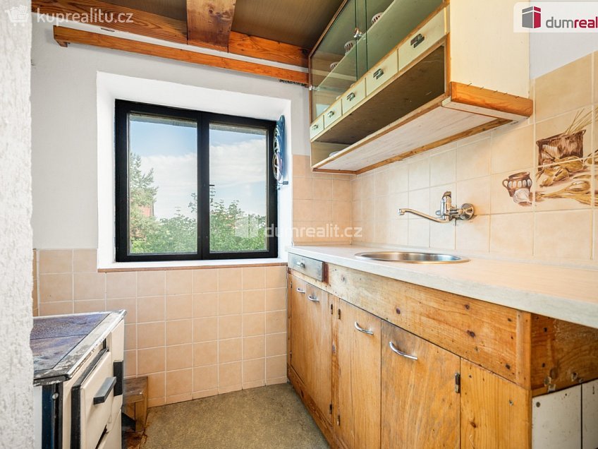 Prodej  chaty 100 m^2 Třebušín, Třebušín 