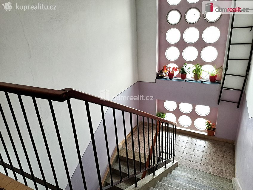 Pronájem bytu 1+1 32 m^2 Růžový palouček, Ústí nad Labem 