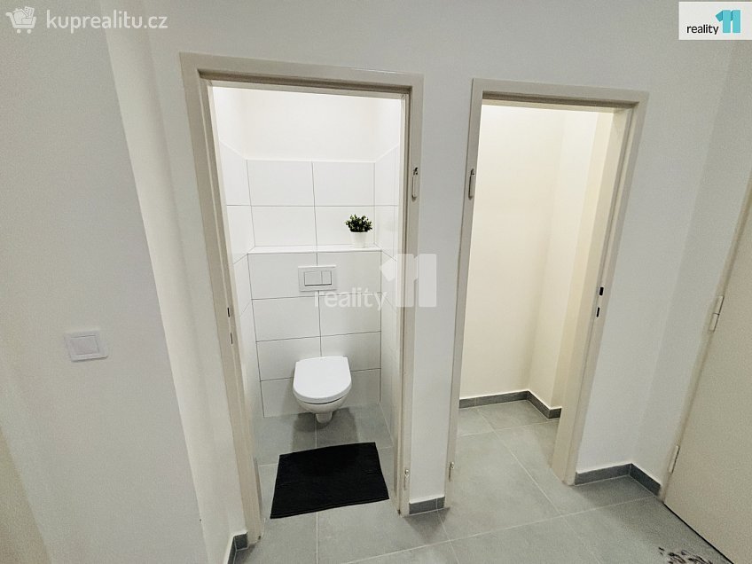 Pronájem bytu 3+kk 75 m^2 Biskupcova, Praha 3 