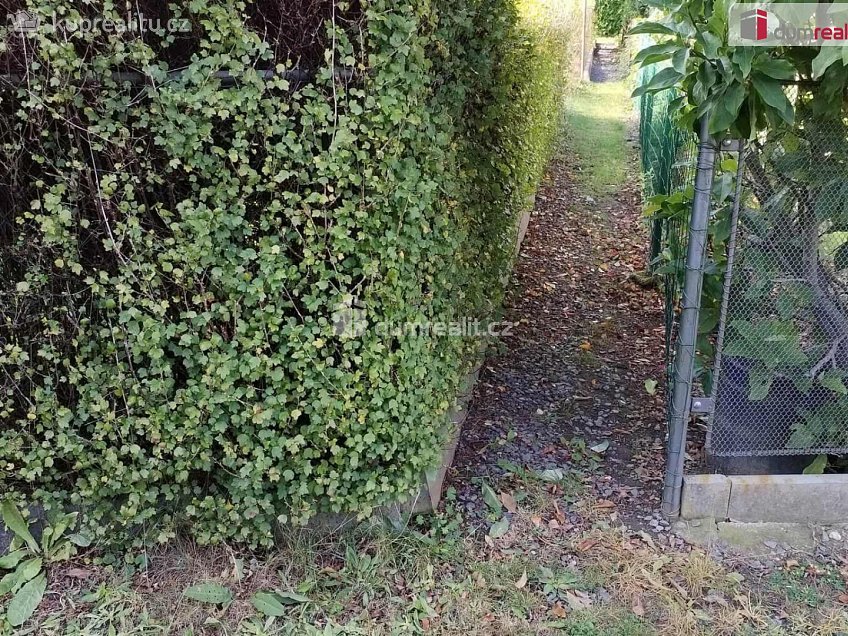 Prodej  chaty 20 m^2 Bažantnice, Mariánské Lázně 