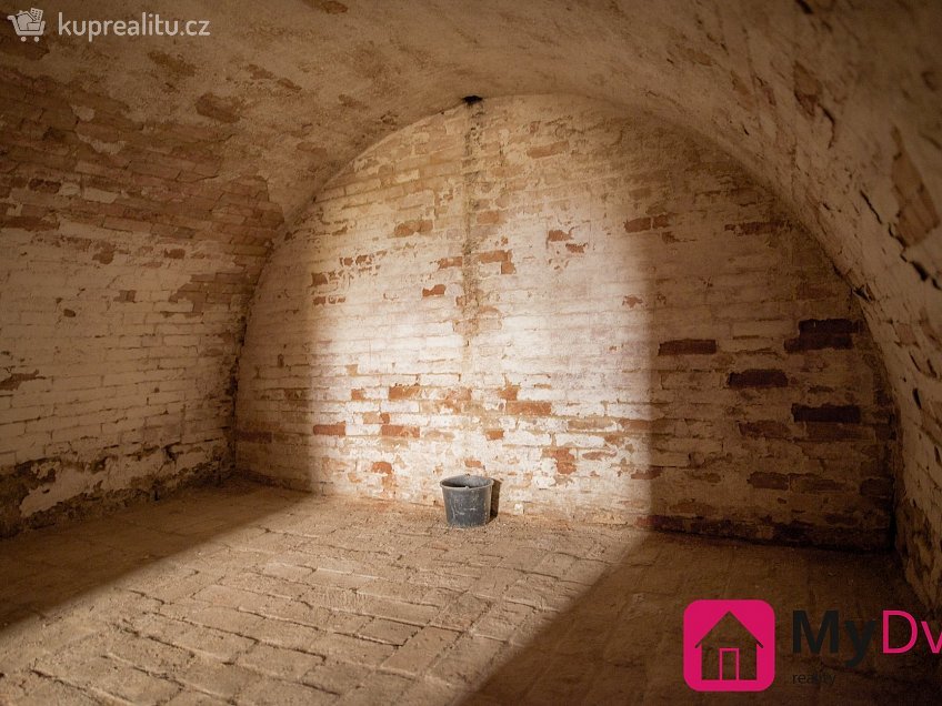 Pronájem  vinného sklepu 36 m^2 Břežany, Břežany 