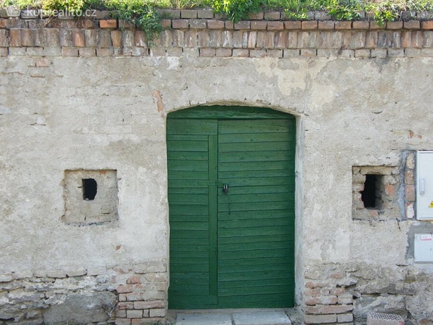 Pronájem  vinného sklepu 36 m^2 Břežany, Břežany 