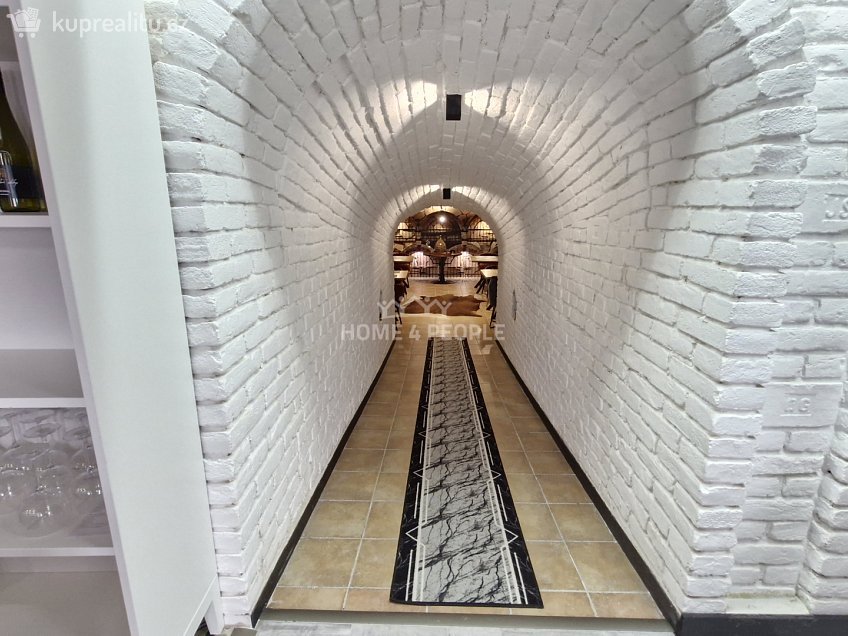 Pronájem  restauračního zařízení 75 m^2 Pasohlávky, Pasohlávky 