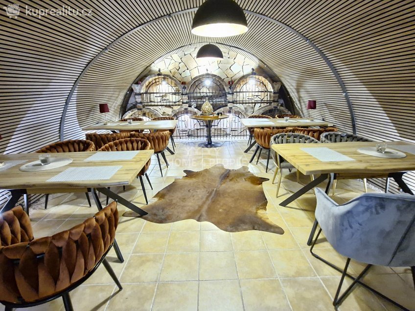 Pronájem  restauračního zařízení 75 m^2 Pasohlávky, Pasohlávky 