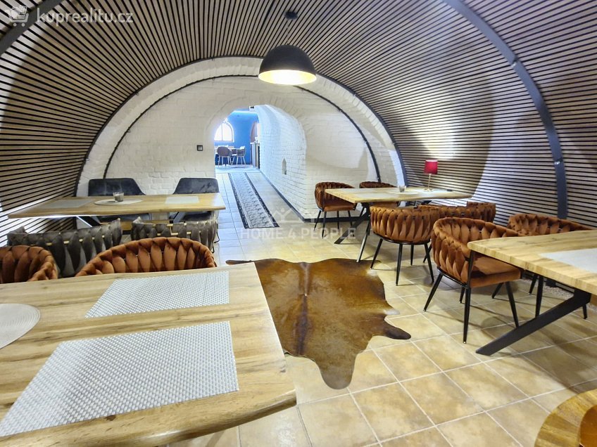 Pronájem  restauračního zařízení 75 m^2 Pasohlávky, Pasohlávky 