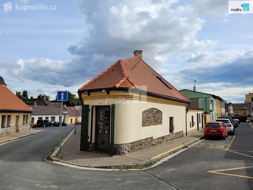 Pronájem  obchodních prostor 100 m^2 Havelcova, Kolín 