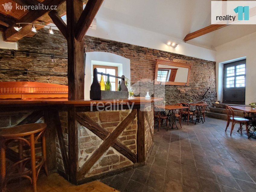 Pronájem  obchodních prostor 100 m^2 Havelcova, Kolín 