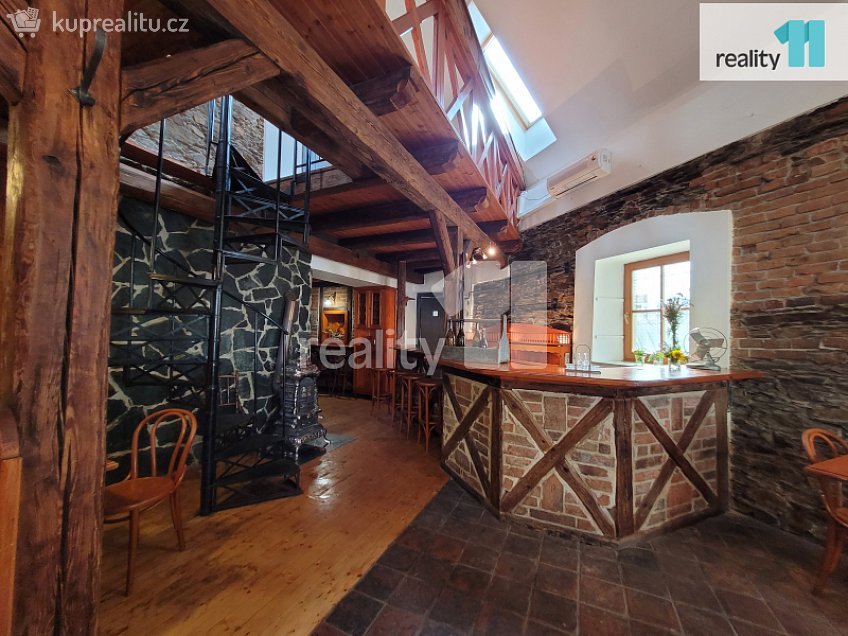 Pronájem  obchodních prostor 100 m^2 Havelcova, Kolín 