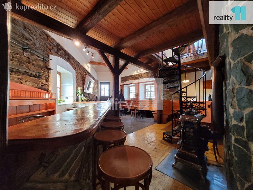 Pronájem  obchodních prostor 100 m^2 Havelcova, Kolín 