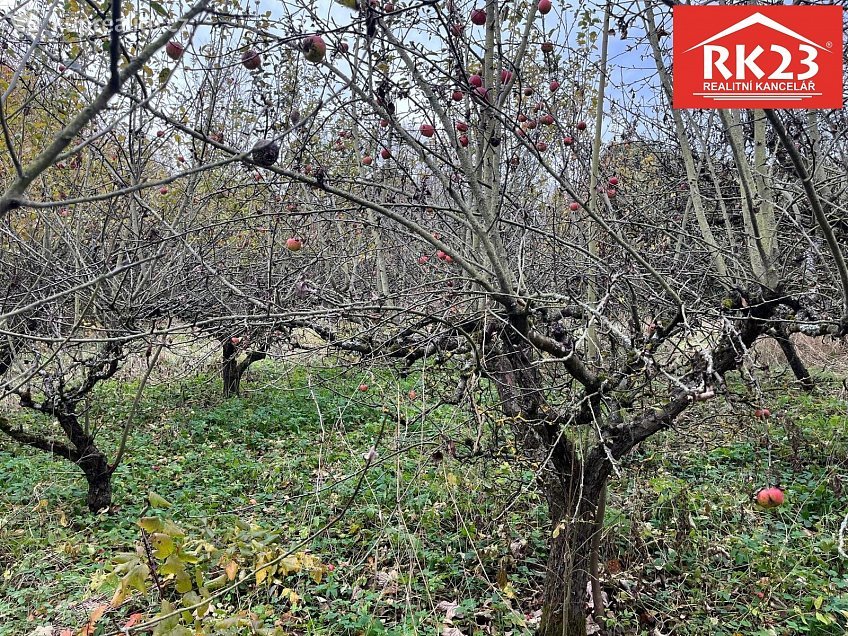 Prodej  stavebního pozemku 994 m^2 Stráž 46, Stráž 