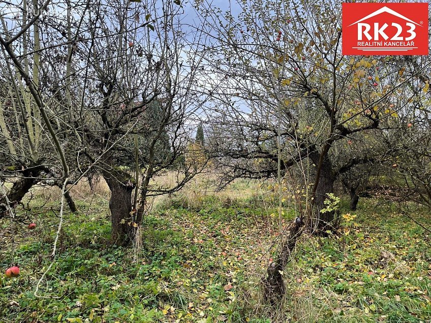 Prodej  stavebního pozemku 994 m^2 Stráž 46, Stráž 