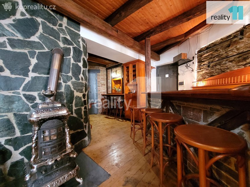 Pronájem  restauračního zařízení 100 m^2 Havelcova, Kolín 