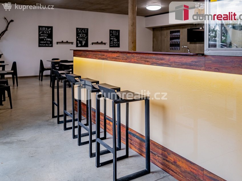 Prodej  obchodních prostor 264 m^2 Česká, Pavlov 