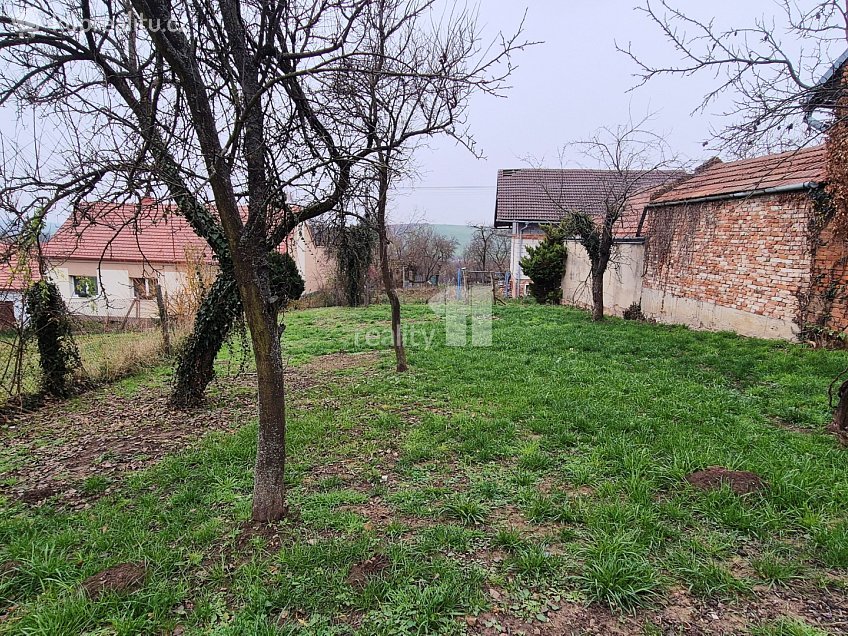 Prodej  stavebního pozemku 600 m^2 Žeravice, Žeravice 