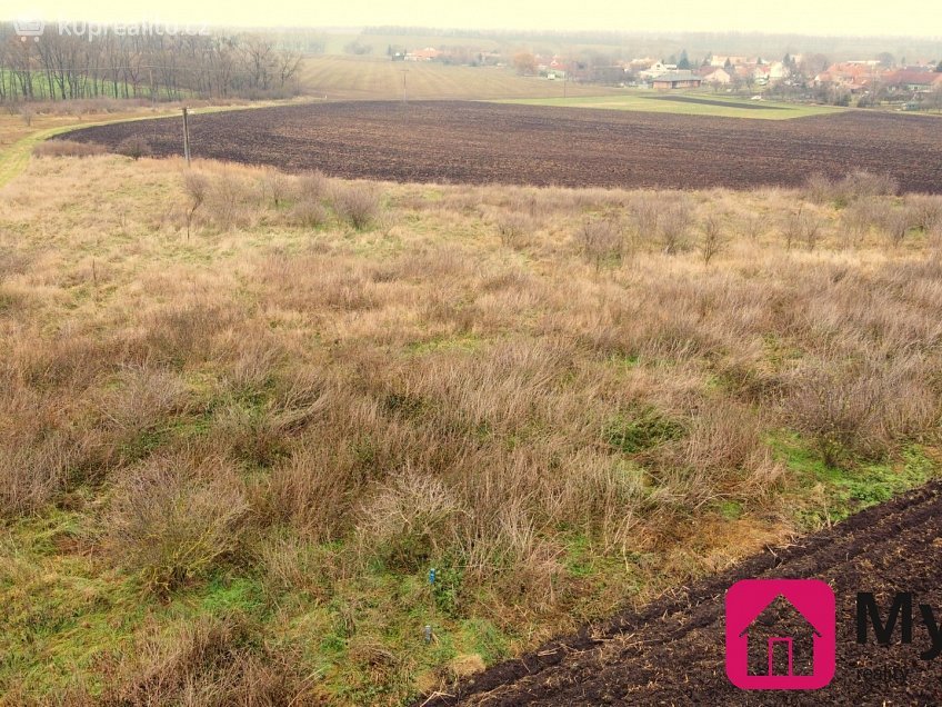 Prodej  pozemku 1583 m^2 Troskotovice, Troskotovice 