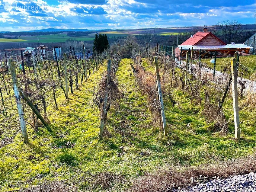 Prodej  vinného sklepu 87 m^2 Jaroslavice, Jaroslavice 