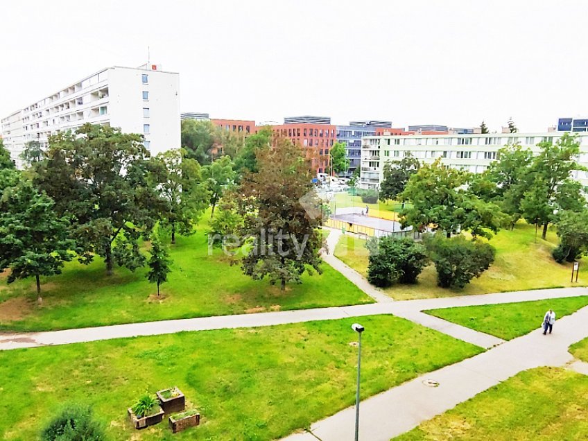 Pronájem bytu 3+kk 47 m^2 Nekvasilova, Praha 8 