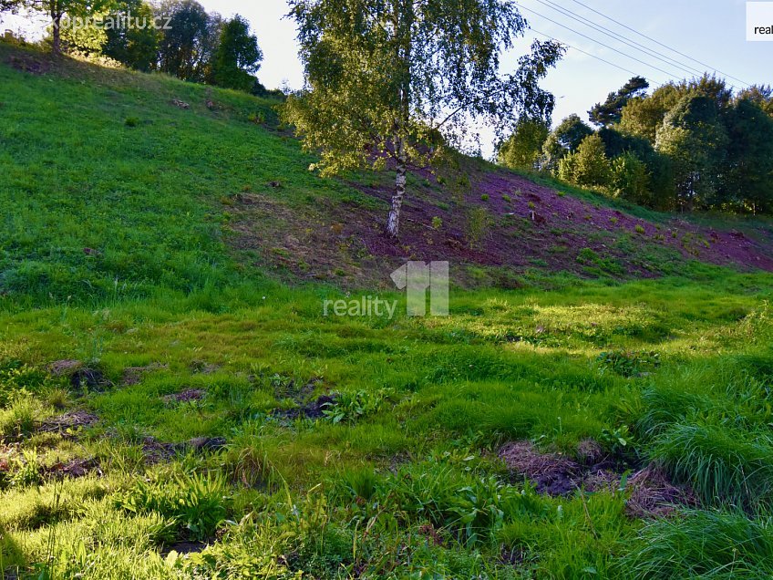 Prodej  stavebního pozemku 6515 m^2 U Lesovny, Police nad Metují 