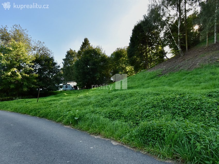 Prodej  stavebního pozemku 6515 m^2 U Lesovny, Police nad Metují 