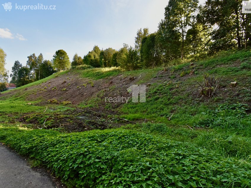 Prodej  stavebního pozemku 6515 m^2 U Lesovny, Police nad Metují 