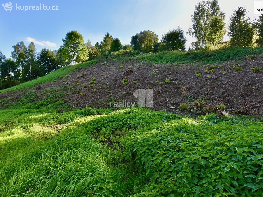 Prodej  stavebního pozemku 6515 m^2 U Lesovny, Police nad Metují 