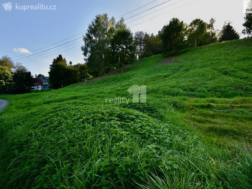 Prodej  stavebního pozemku 6515 m^2 U Lesovny, Police nad Metují 