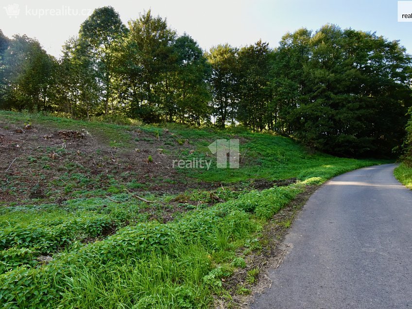 Prodej  stavebního pozemku 6515 m^2 U Lesovny, Police nad Metují 
