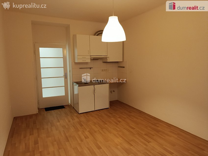 Pronájem bytu 1+kk 25 m^2 V předpolí, Praha 10 