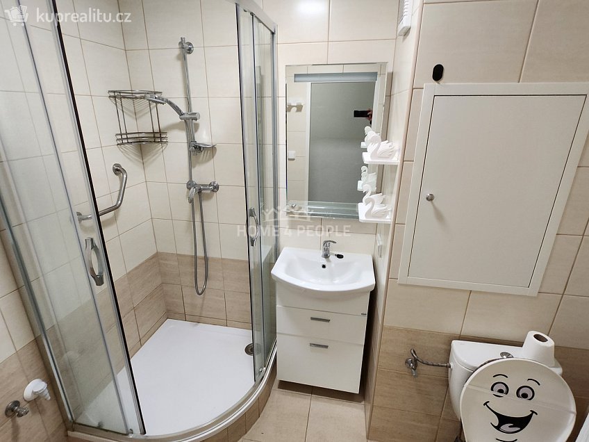 Pronájem bytu 2+1 54 m^2 Osvoboditelů, Lovosice 