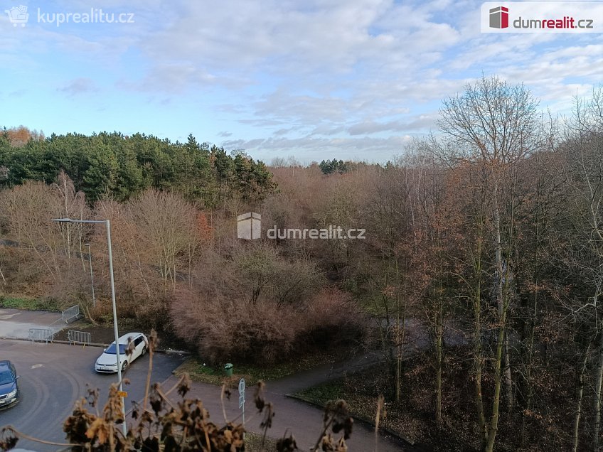 Pronájem bytu 3+1 70 m^2 Vodnická, Praha-Újezd 