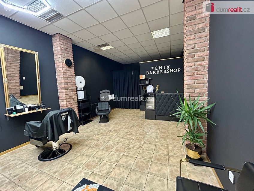 Pronájem  obchodních prostor 46 m^2 Pražská, Kolín 