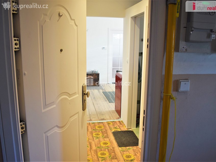 Prodej bytu 2+1 42 m^2 Nad Dvorem, Karlovy Vary 