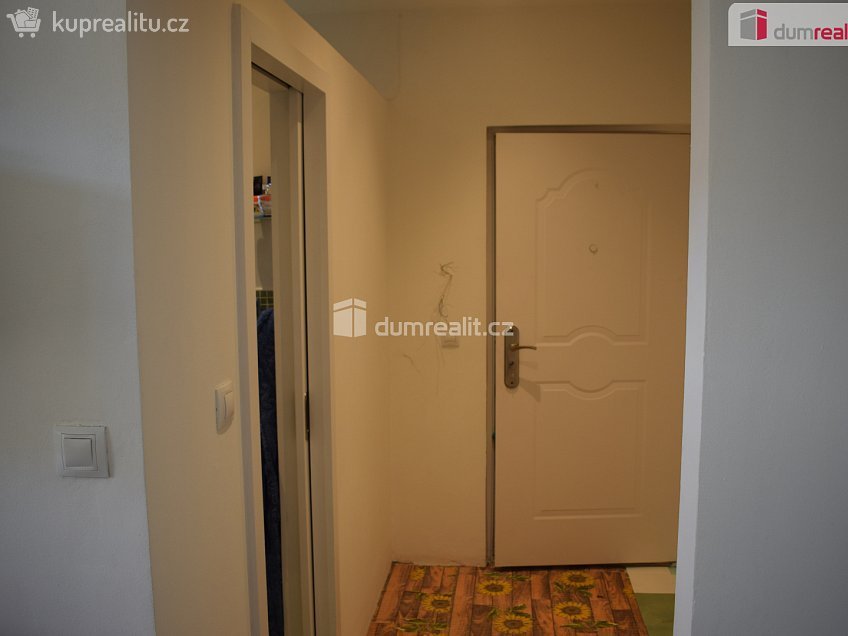 Prodej bytu 2+1 42 m^2 Nad Dvorem, Karlovy Vary 