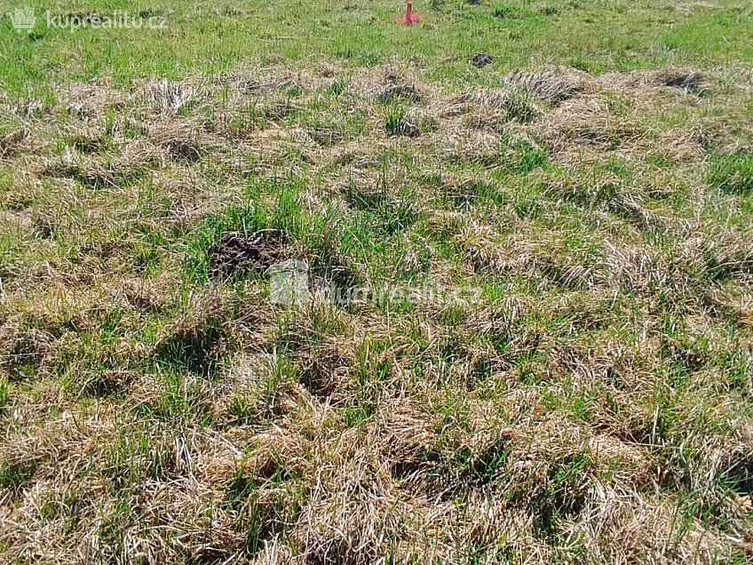 Prodej  stavebního pozemku 1246 m^2 Heřmanov, Heřmanov 