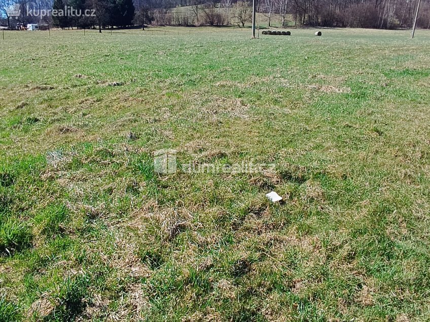 Prodej  stavebního pozemku 1246 m^2 Heřmanov, Heřmanov 